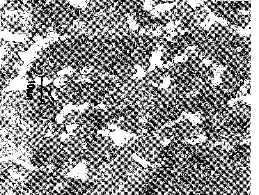 Hot-rolled polyphase steel plate and method for manufacturing same