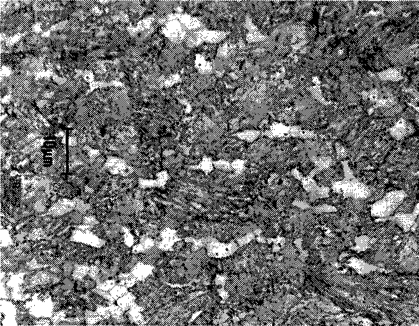 Hot-rolled polyphase steel plate and method for manufacturing same