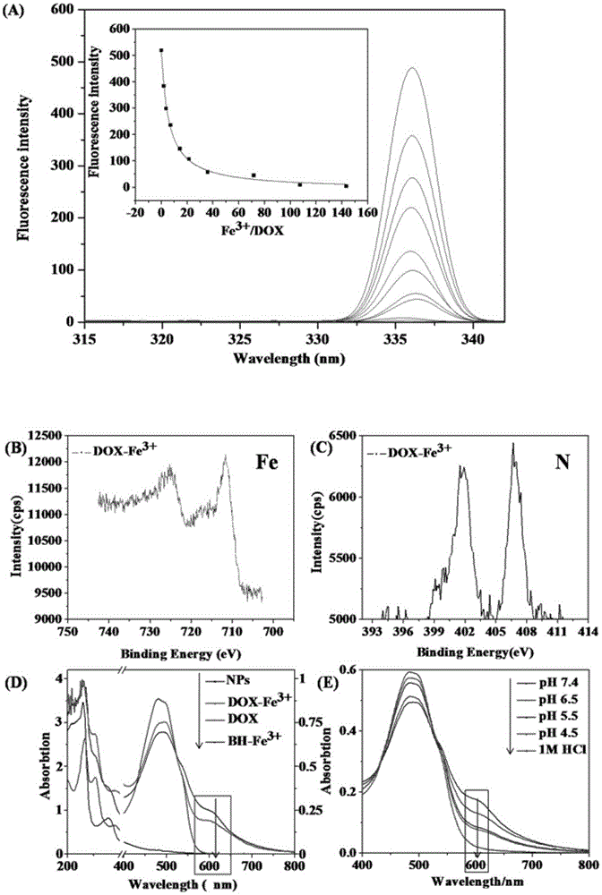 Functional albumin and preparation method of nano preparation of functional albumin