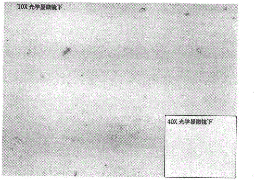 A kind of preparation method of cyclobutane pyrimidine dimer photorepair enzyme liposome