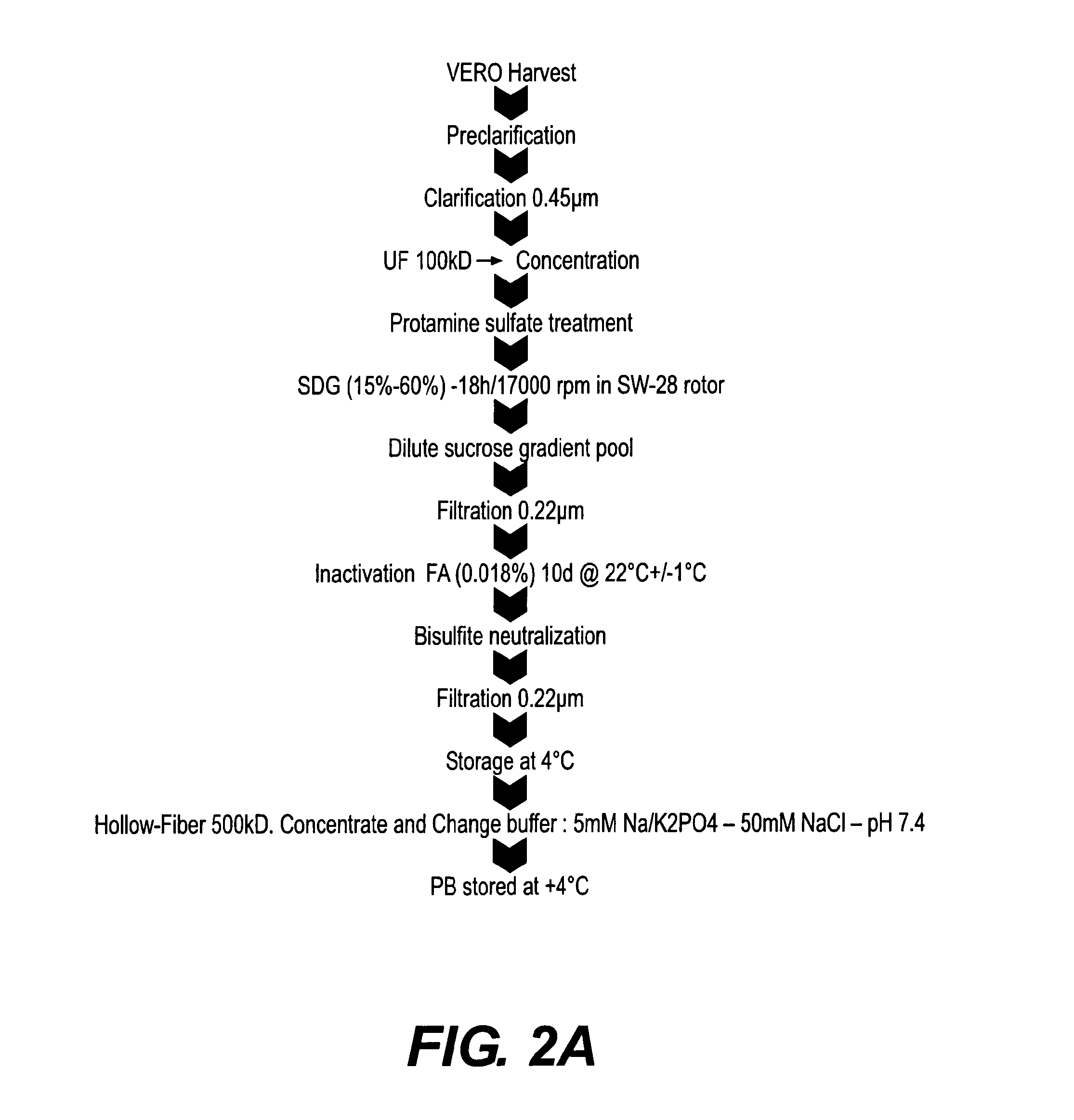 Inactivated dengue virus vaccine