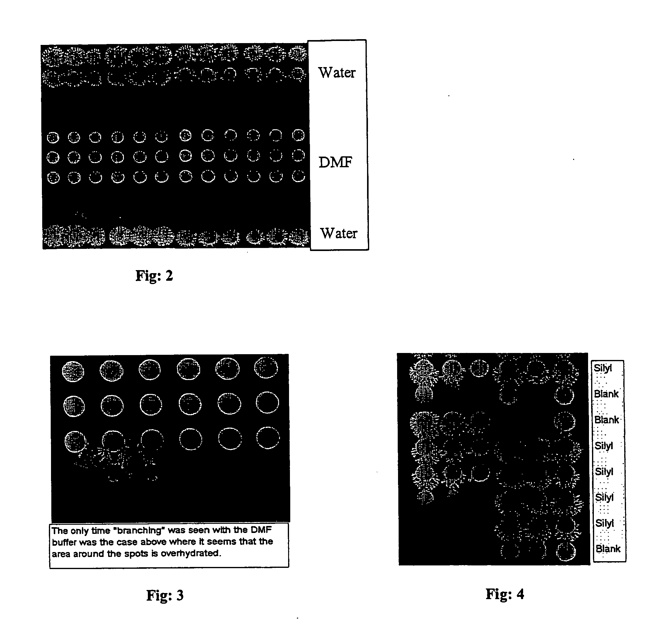 Method for preparing substrates having immobilized molecules and substrates