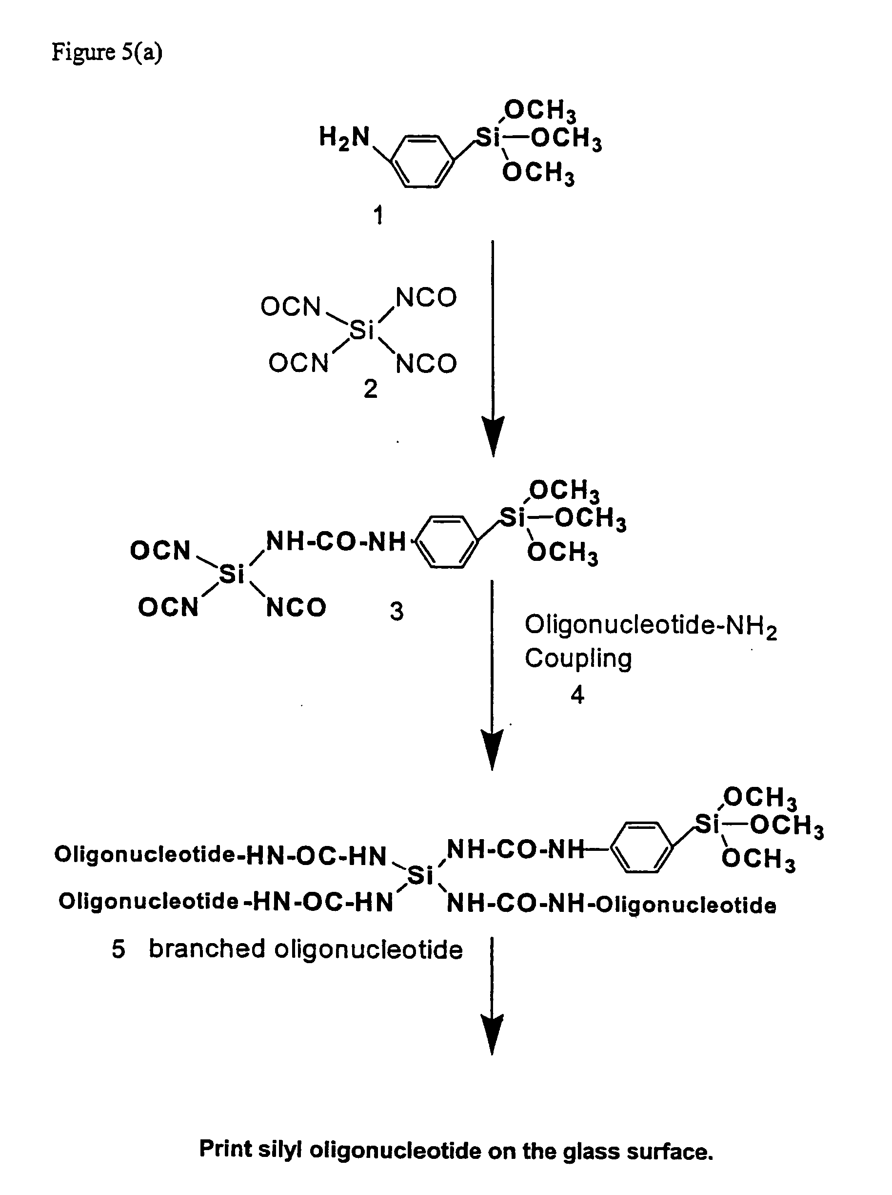 Method for preparing substrates having immobilized molecules and substrates