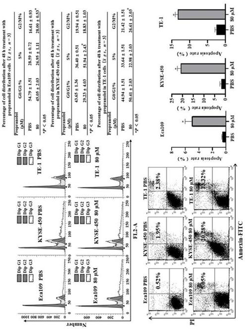 New medical application of propranolol