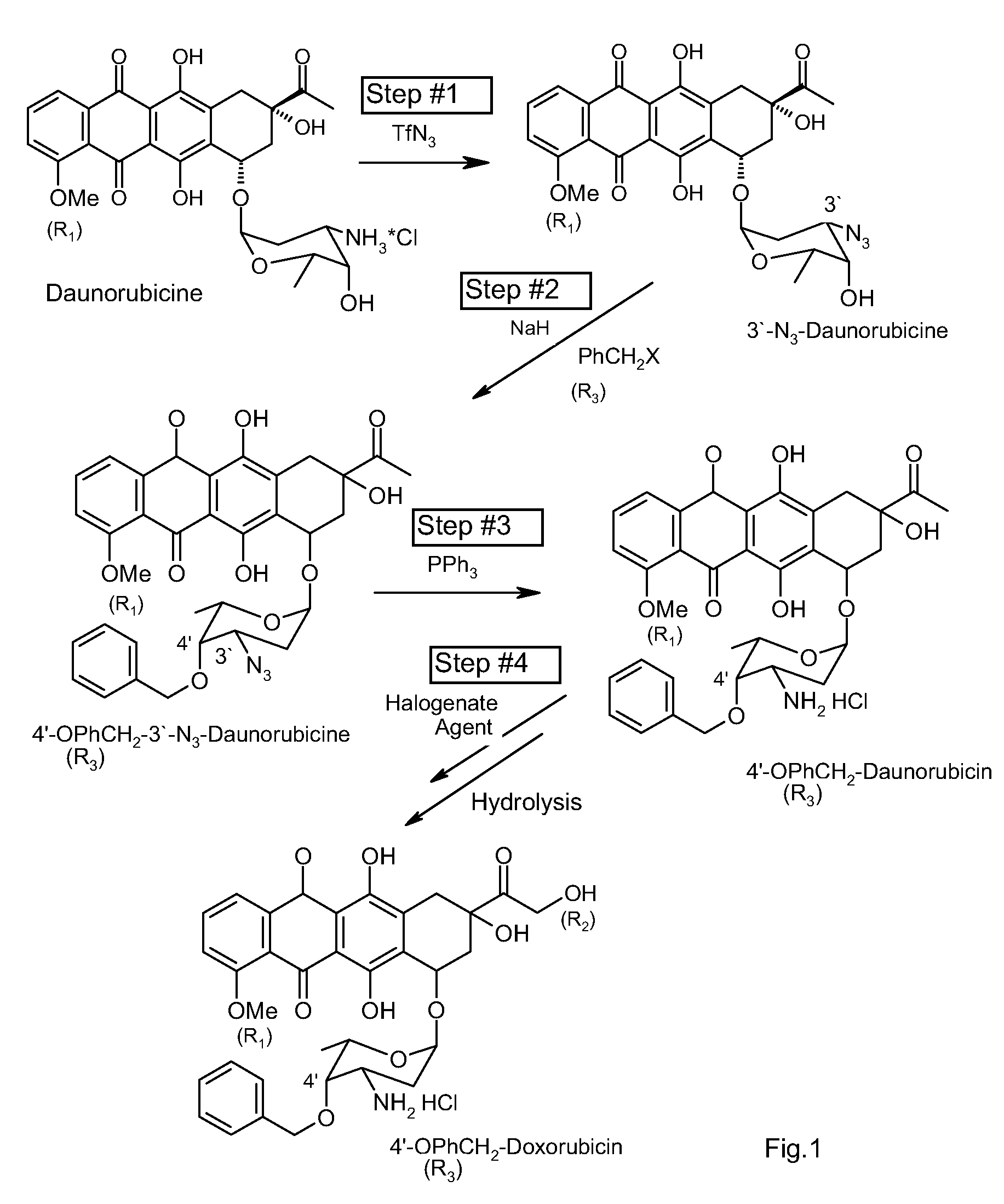 Method of aralkylation of 4'-hydroxyl group of anthracylins