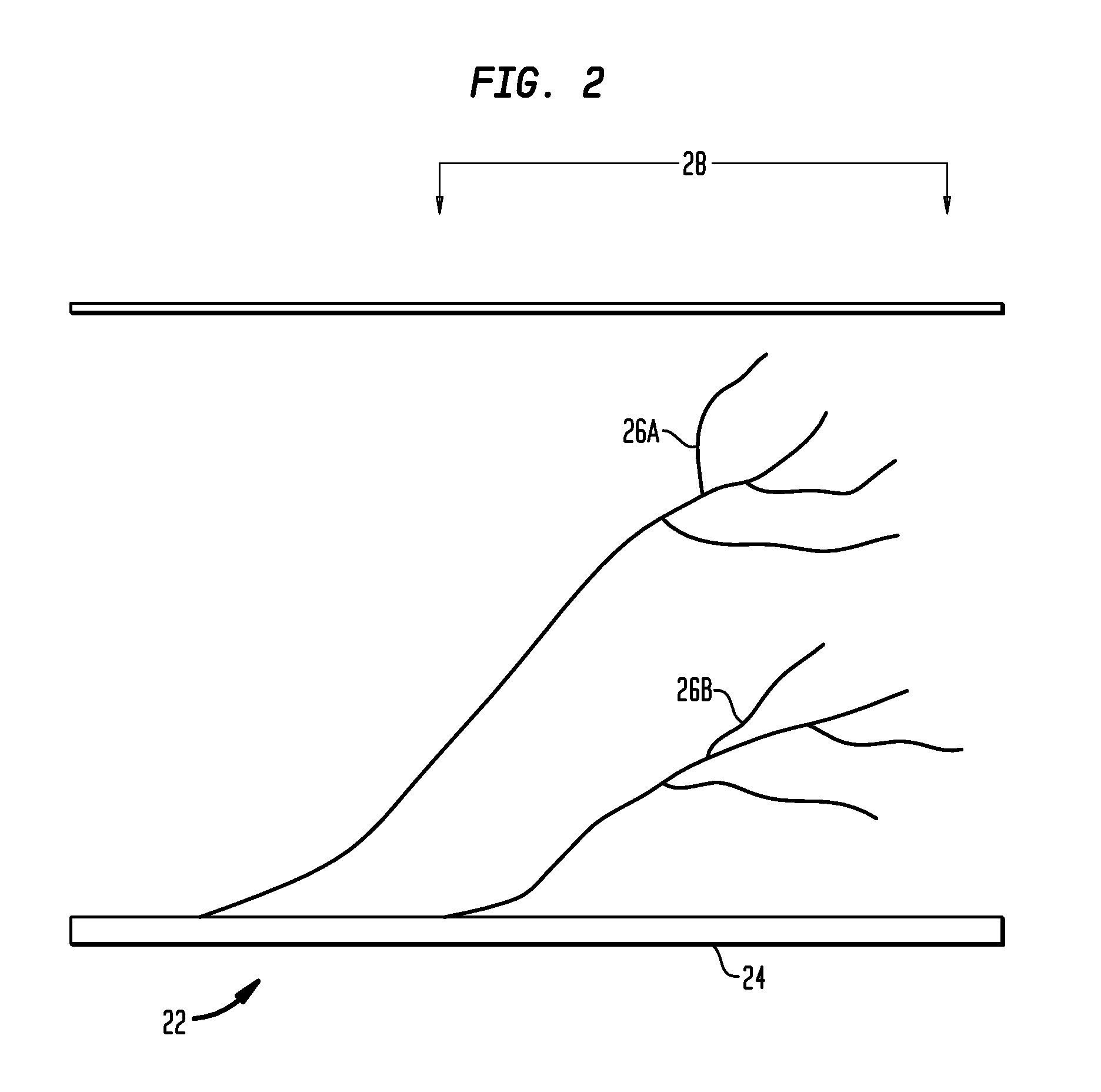 Dermatome stimulation devices and methods