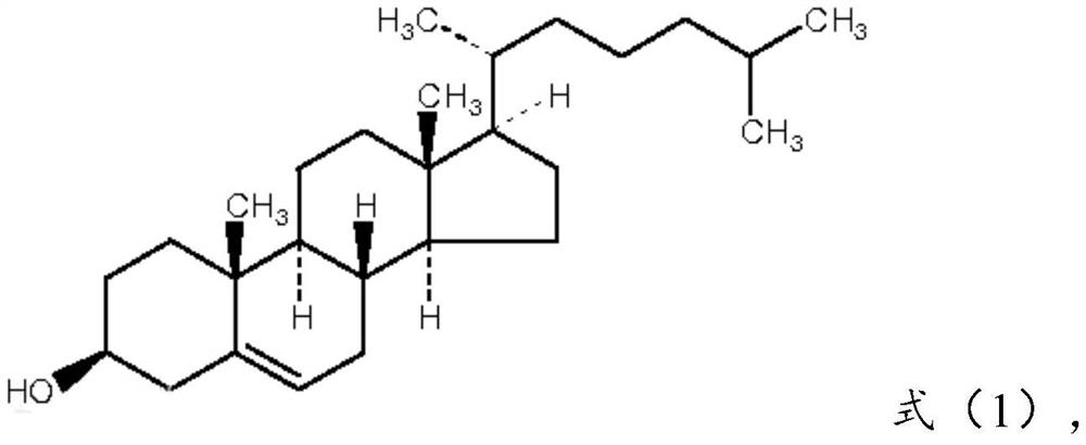 Sustained-release preparation drug-loading material and its composition, sustained-release preparation and preparation method thereof