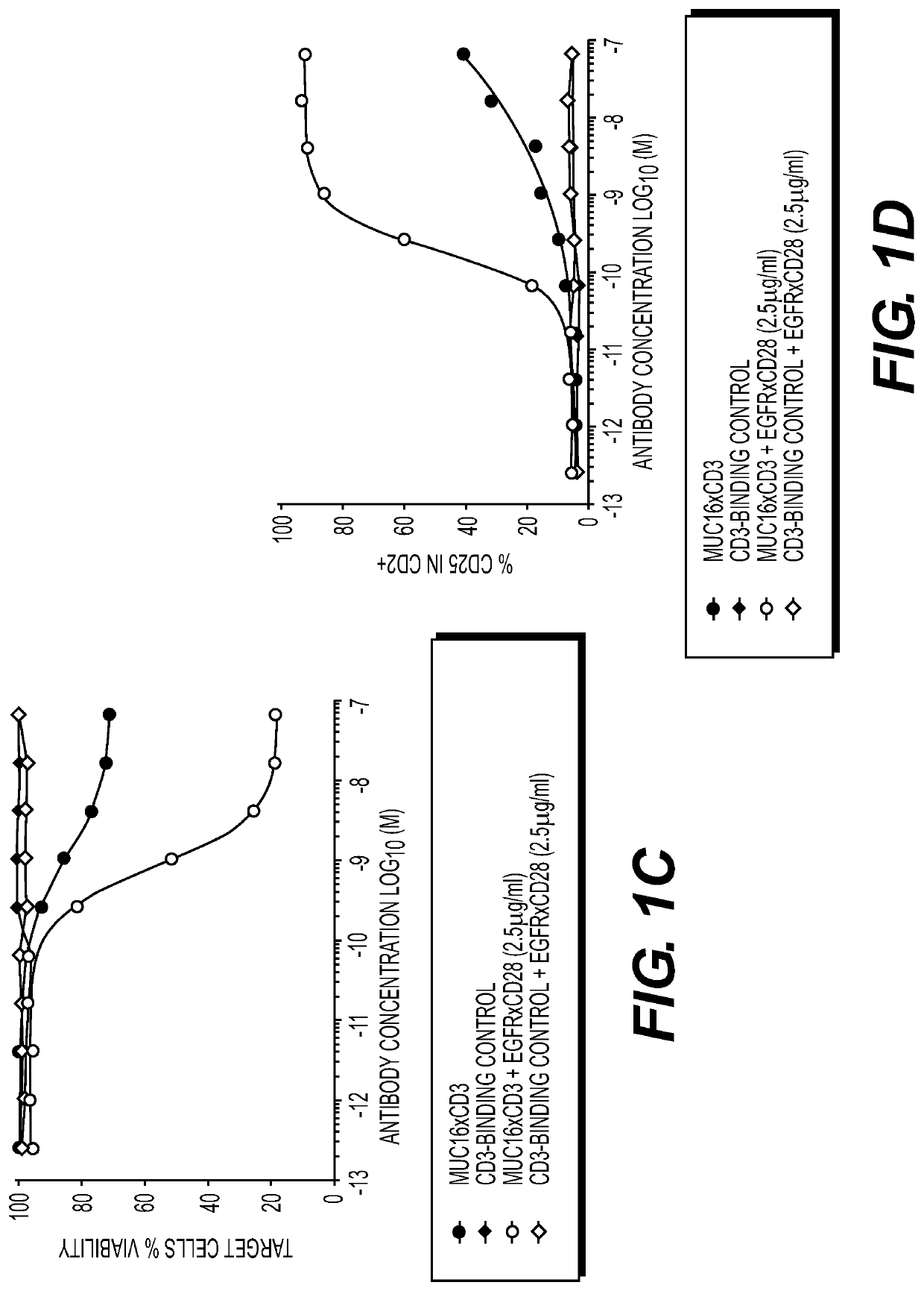 EGFR x CD28 MULTISPECIFIC ANTIBODIES