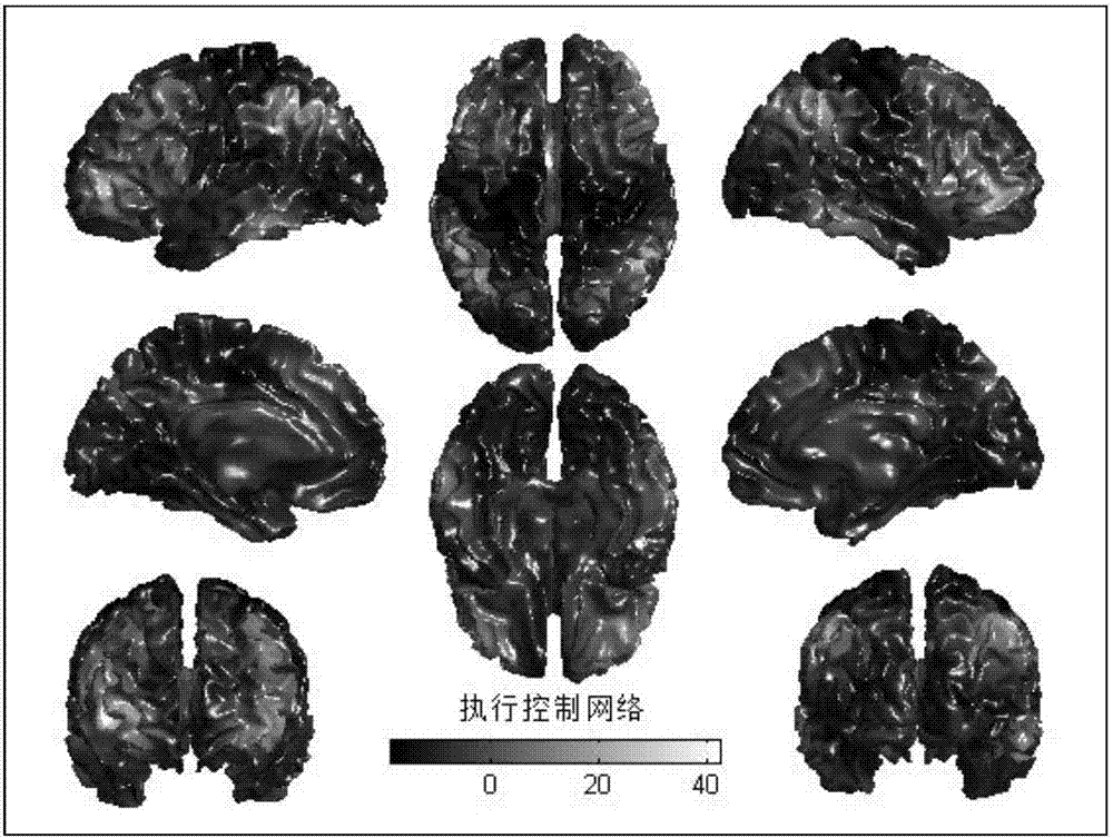 Human brain consciousness state prediction device