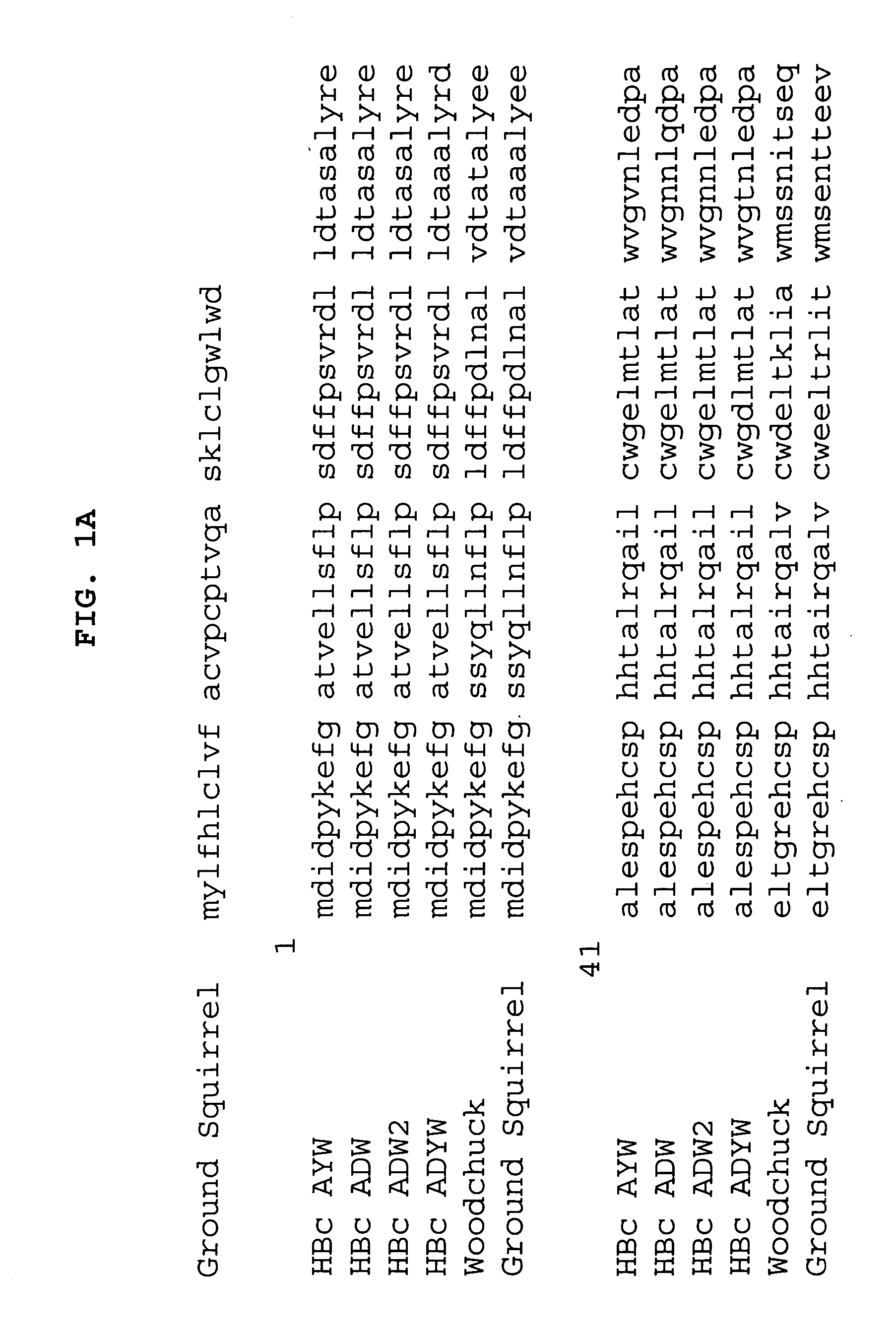 Stabilized virus-like particles and epitope display systems