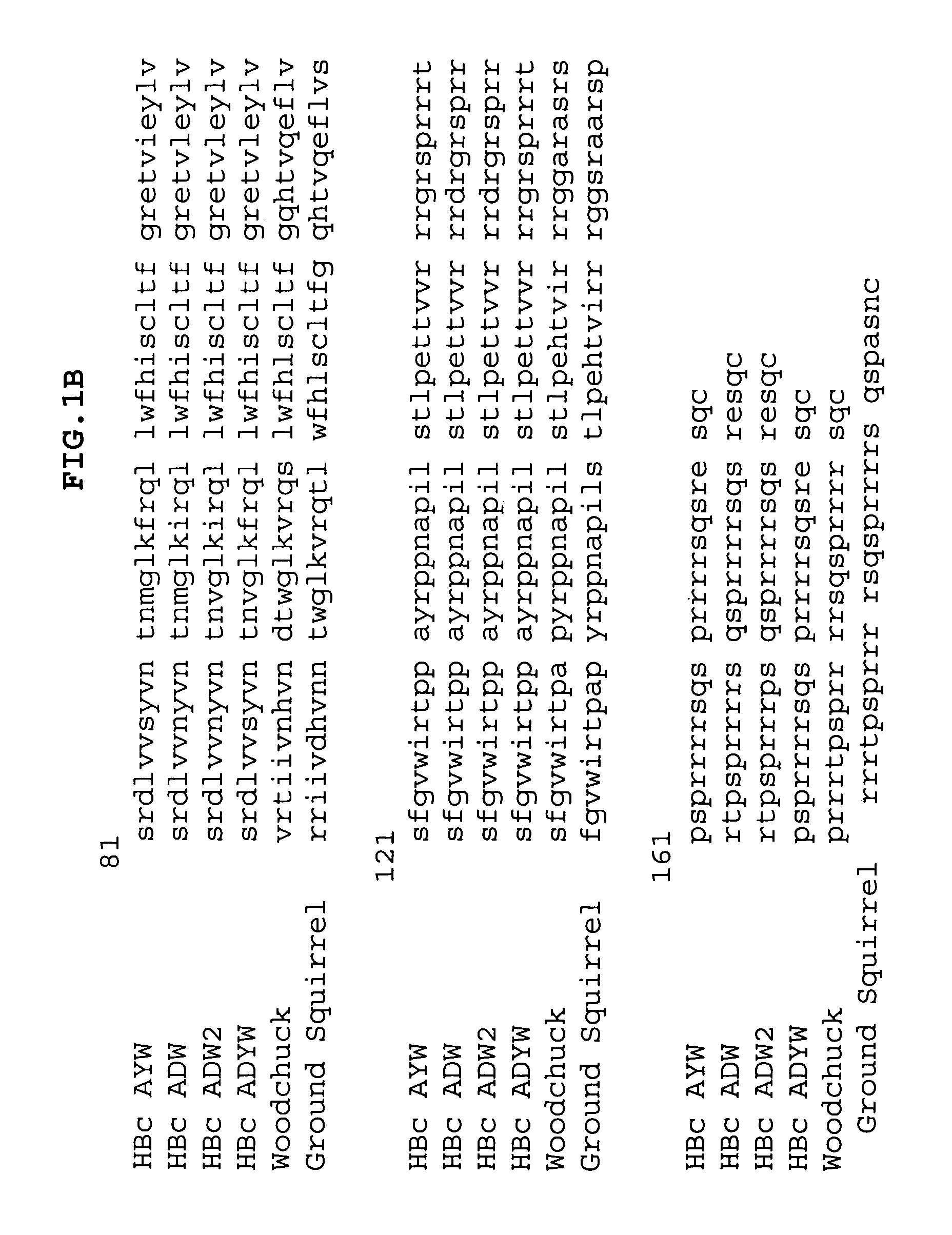 Stabilized virus-like particles and epitope display systems