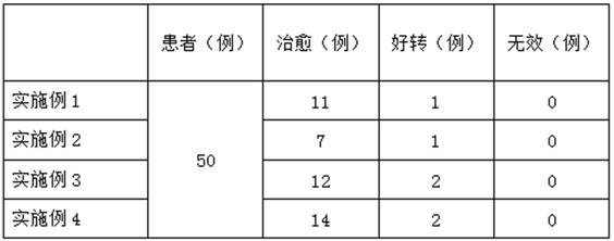 Traditional Chinese medicine composition patch and preparation method thereof