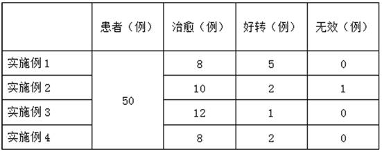 Traditional Chinese medicine composition patch and preparation method thereof