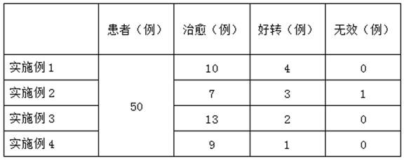 Traditional Chinese medicine composition patch and preparation method thereof