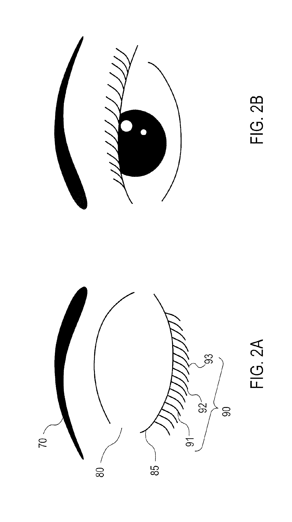 Magnetically attachable eyelash prosthetic system and related methods