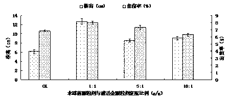 Preparation method of trichoderma sorghum granules