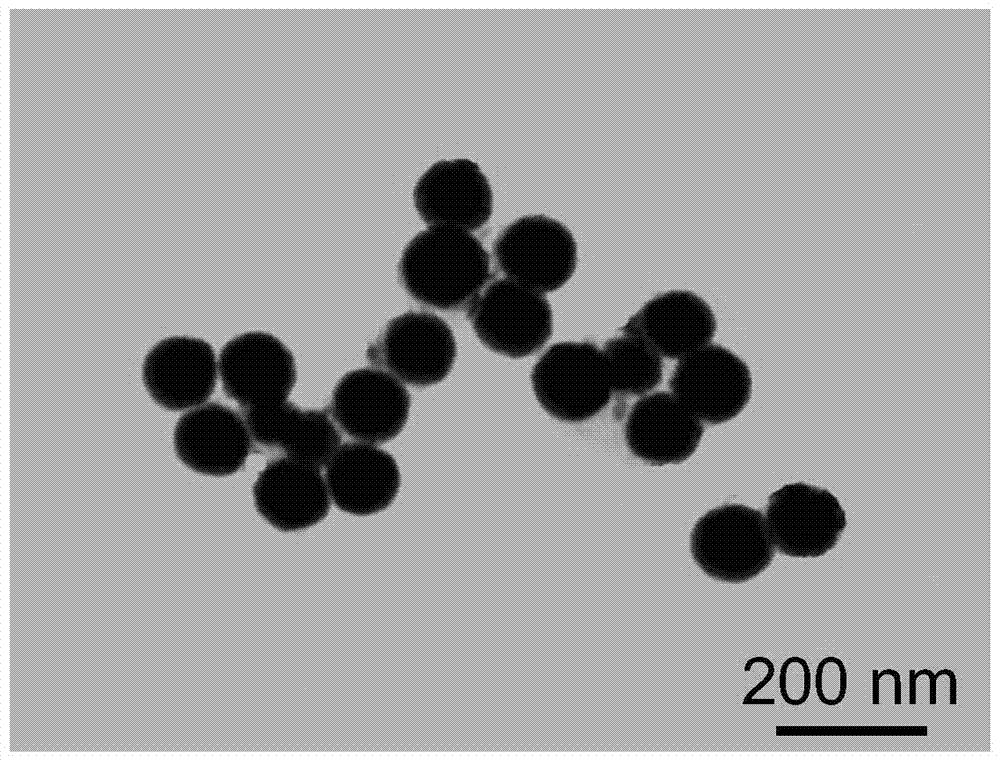 Application of chiral nano-selenium materials loaded with siRNA in the preparation of antitumor drugs