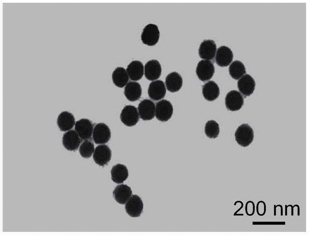 Application of chiral nano-selenium materials loaded with siRNA in the preparation of antitumor drugs