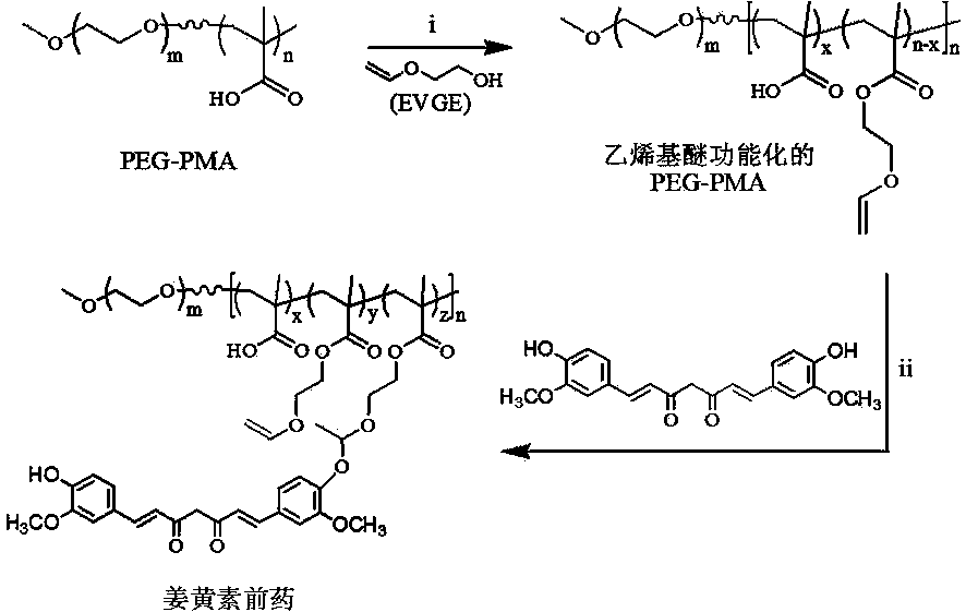 Acid sensitive polymer prodrug, nanoparticles of prodrug and application of nanoparticles