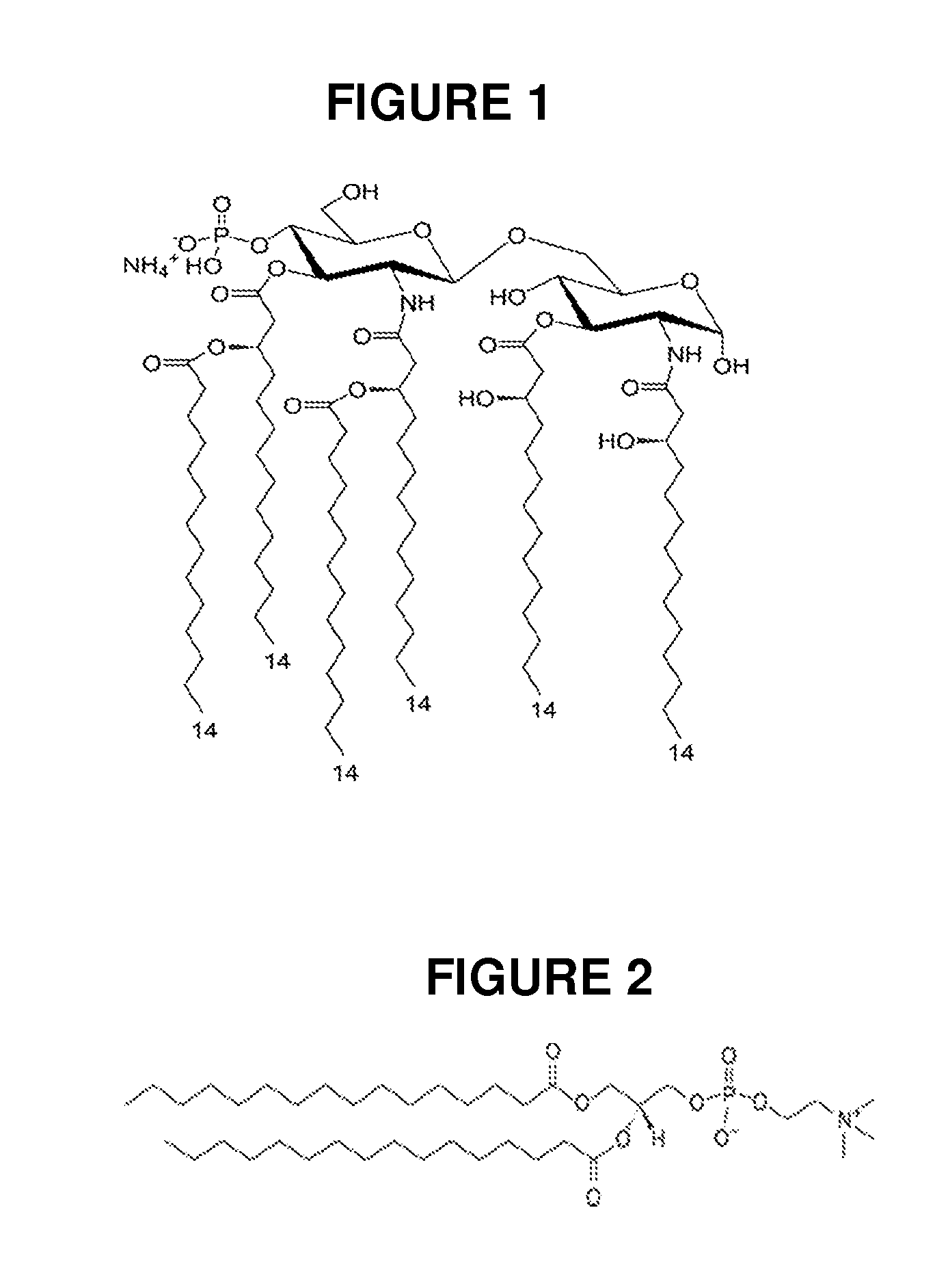 Compositions of vaccines and adjuvants and methods for the treatment of urinary tract infections