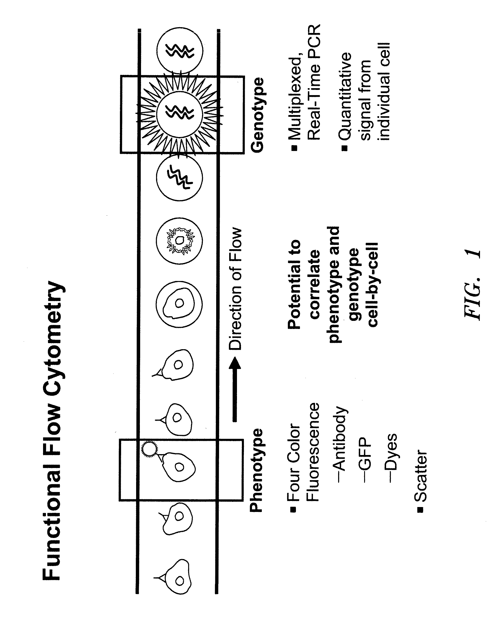 Methods and Devices for Correlated, Multi-Parameter Single Cell Measurements and Recovery of Remnant Biological Material