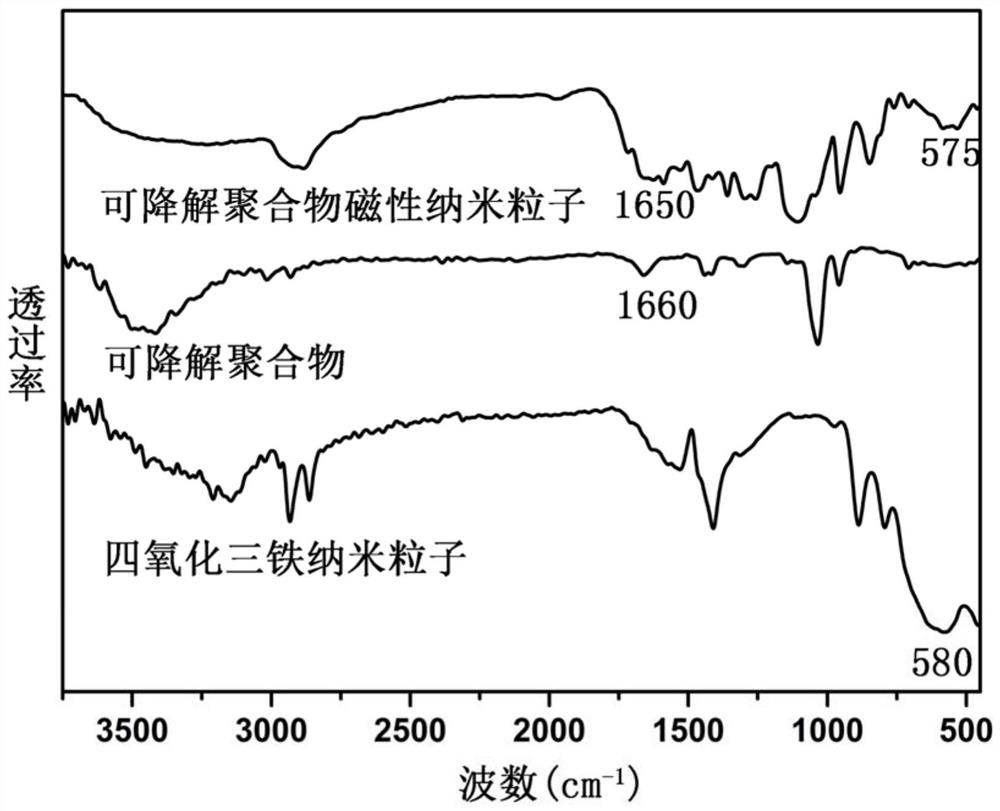 A kind of degradable polymer magnetic nanoparticles and preparation method thereof