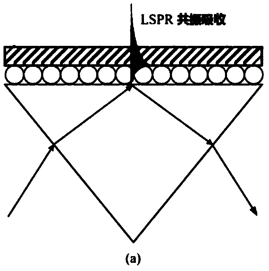 Graphene oxide fiber bragg grating-based gold nanoshell LSPR photopole biosensor