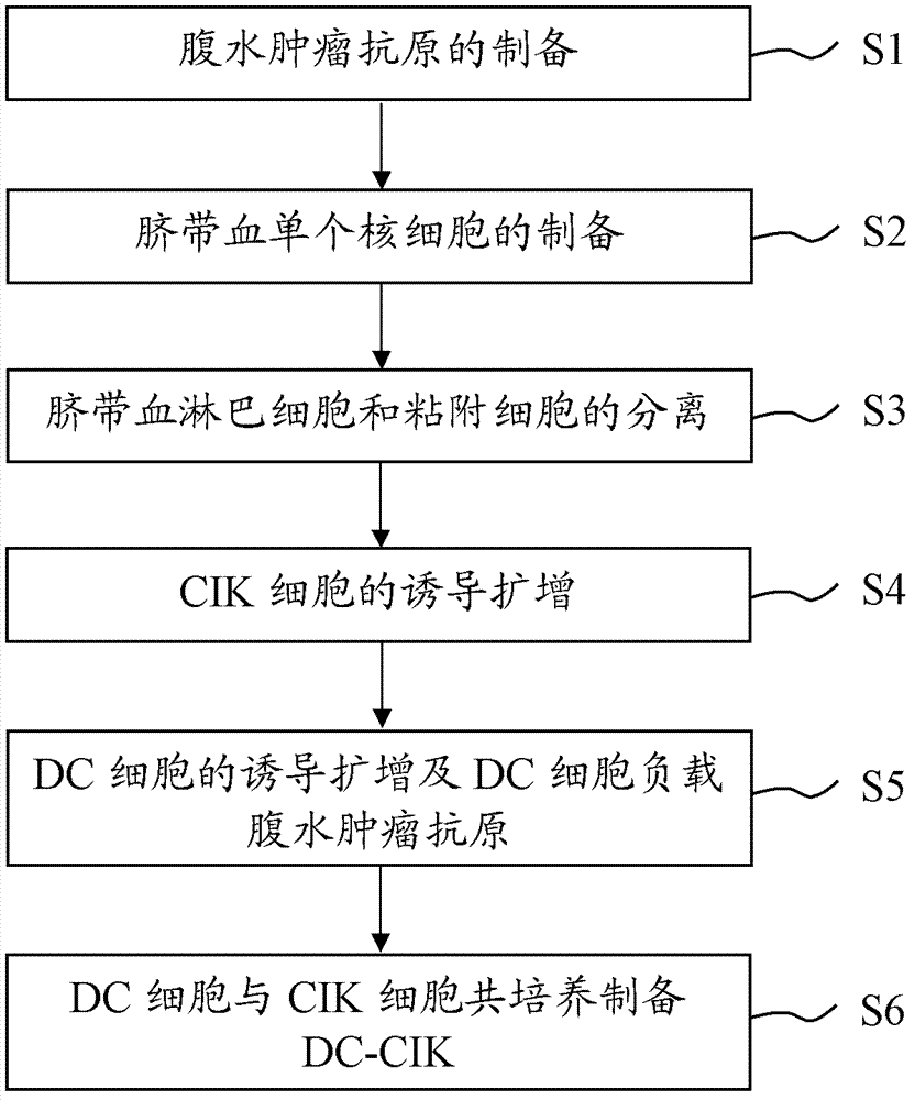 Preparation method of ascites tumor cell sensitized DC-CIK