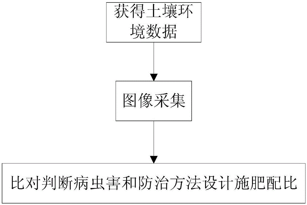 Fine crop information monitoring device and crop information monitoring system and analysis method based on device