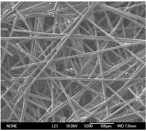 Preparation method for pine-needle-shaped carbon nanotube/carbon fiber conductive network composite carbon material