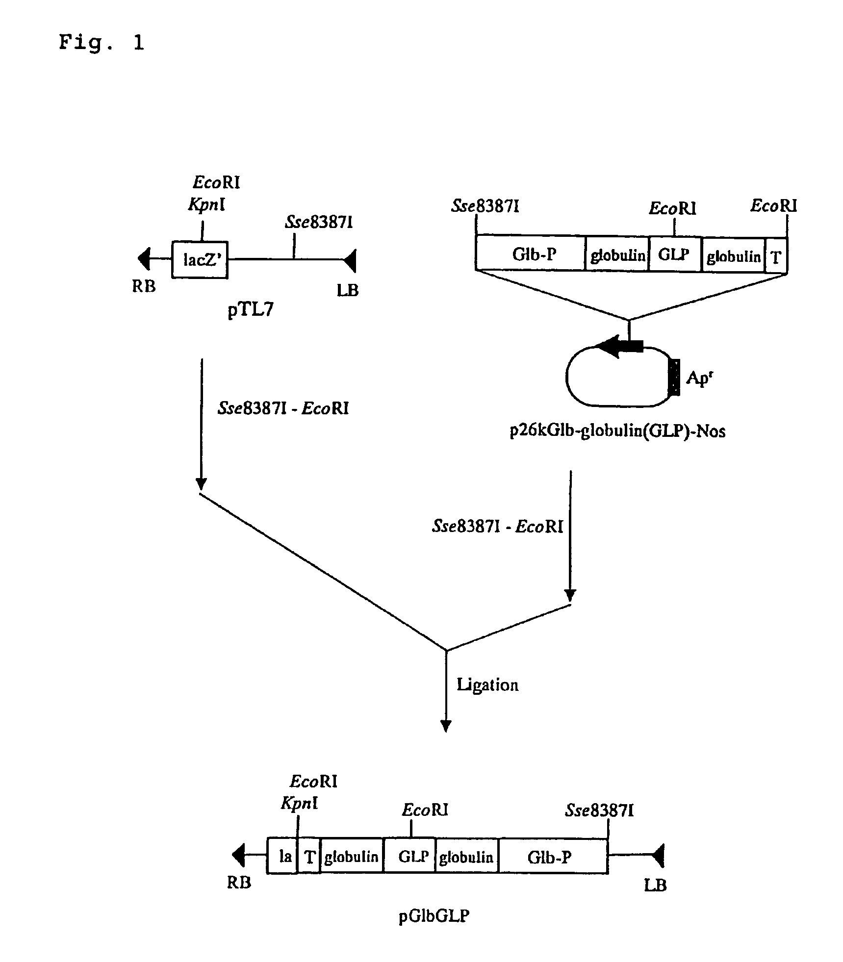 GLP-1 derivative