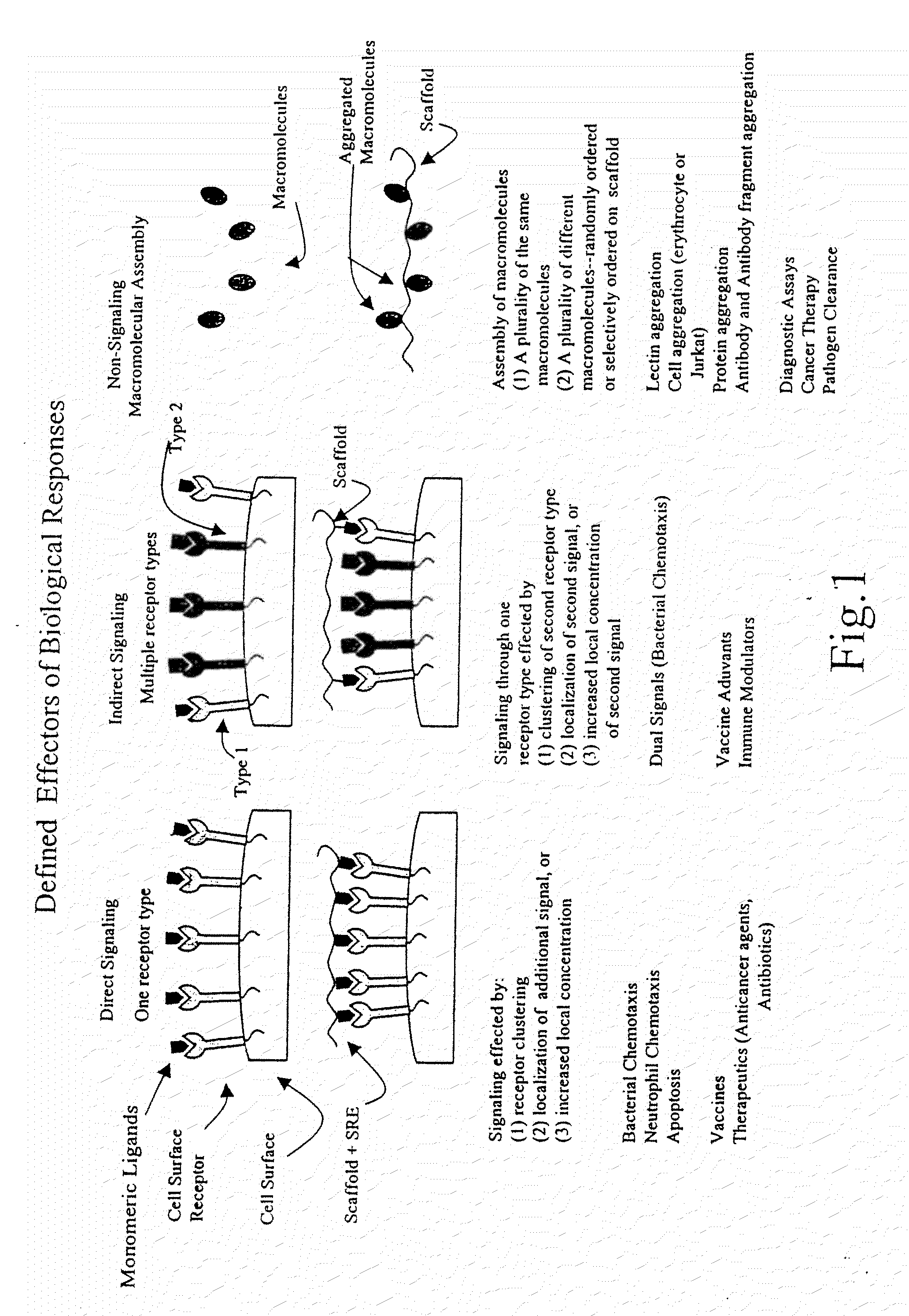 Methods and Reagents for Regulation of Cellular Responses in Biological Systems
