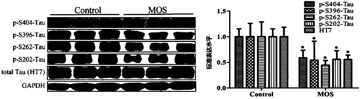 Application of oligomannuronic acid in inhibition of total tau expression, phosphorylation and aggregation