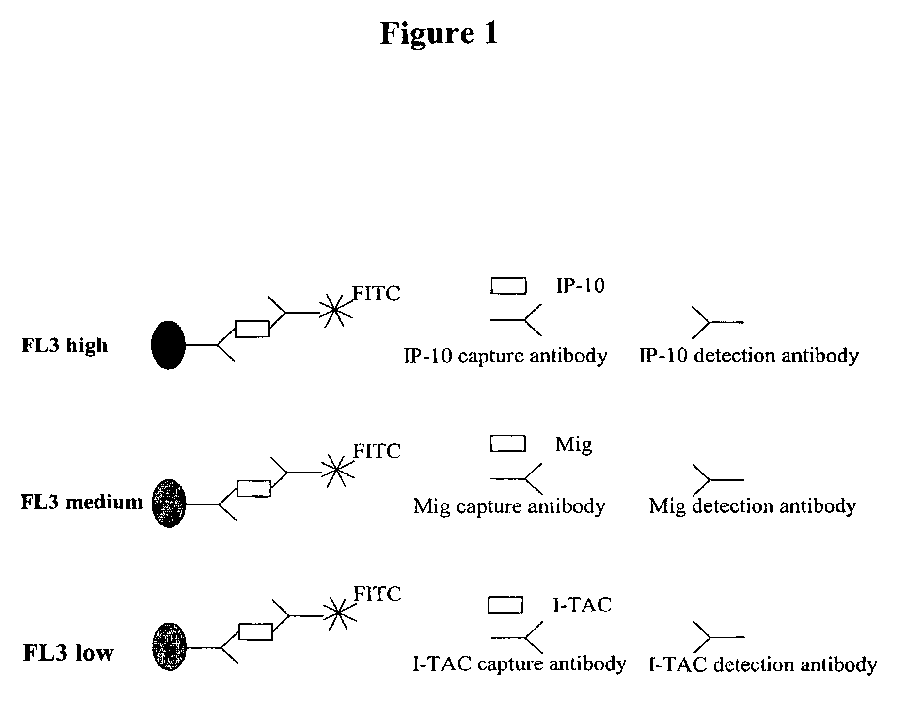 Systems and methods for identifying organ transplant risk