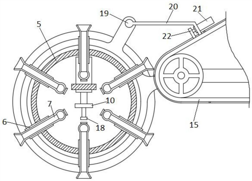 Seedling inserting device for grape planting