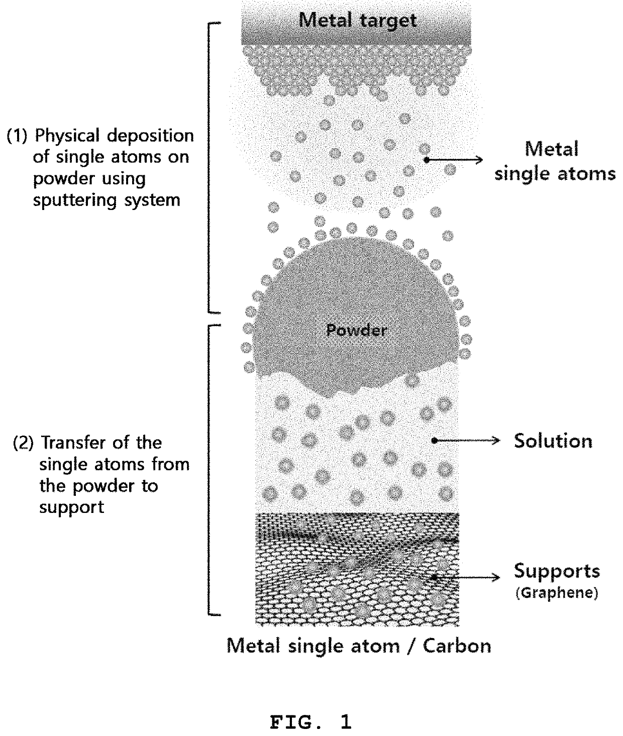 Metal single-atom catalyst and method for preparing the same