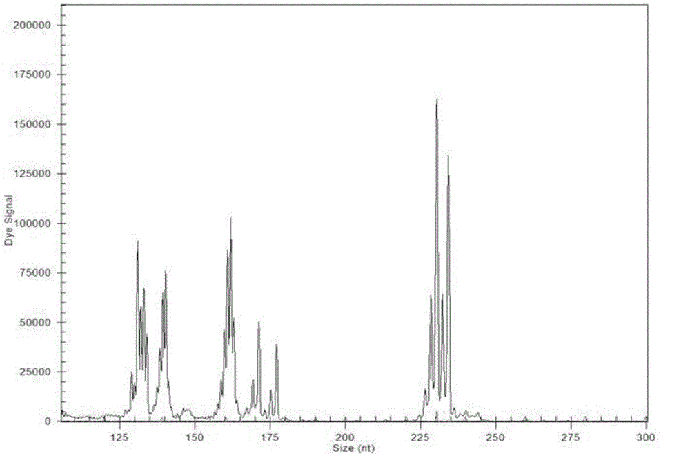 Microsatellite colorectal cancer instability amplification system and detection kit thereof