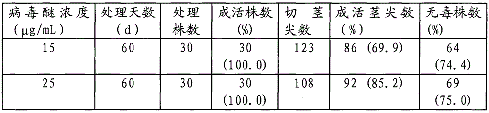 Detoxification method combining heat treatment and chemical treatment for apple tissue culture seedlings