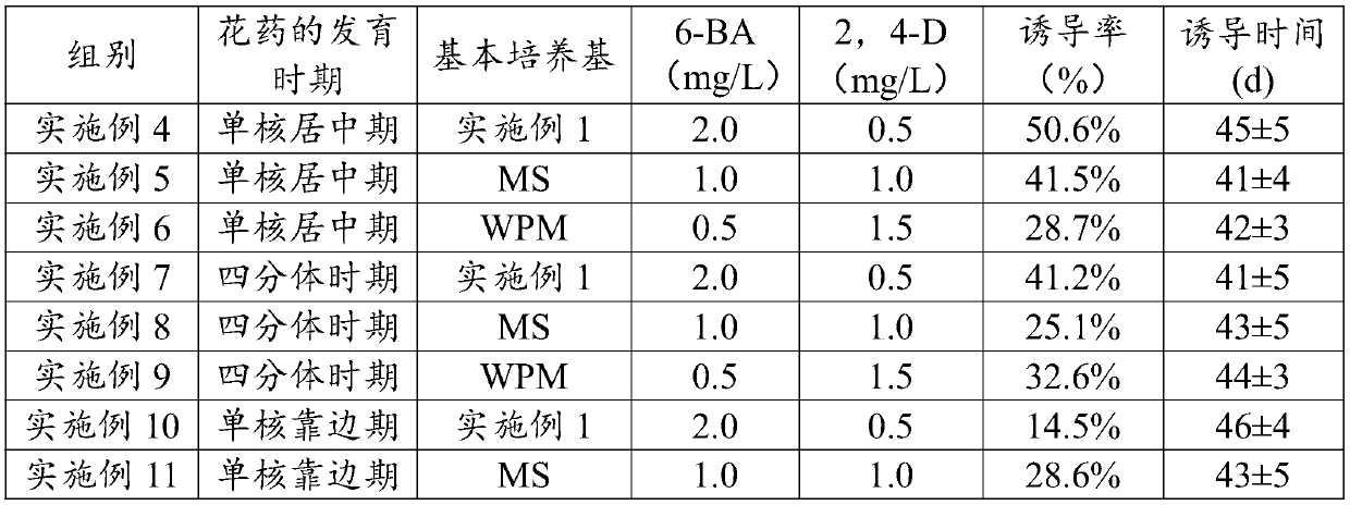 A kind of method and its medium for inducing and cultivating regenerated plants of Pulsatilla pulsatillae anthers