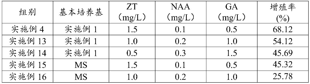 A kind of method and its medium for inducing and cultivating regenerated plants of Pulsatilla pulsatillae anthers