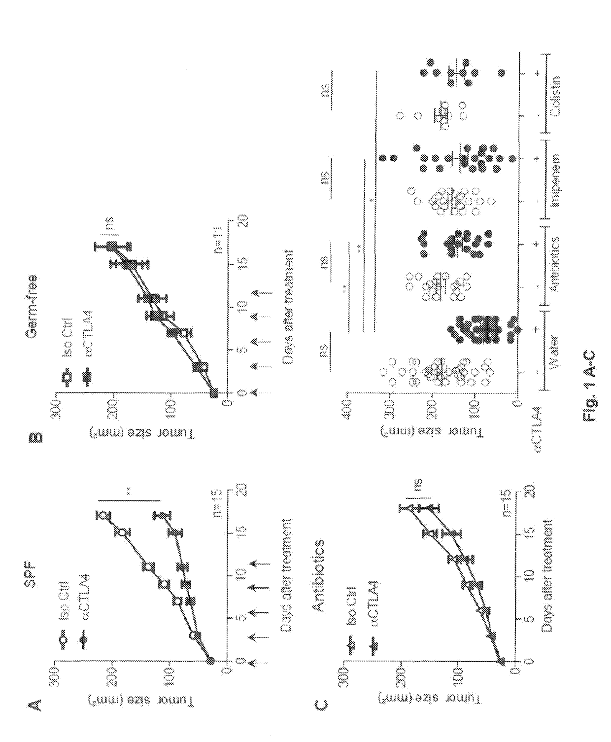 Methods and products for modulating microbiota composition for improving the efficacy of a cancer treatment with an immune checkpoint blocker