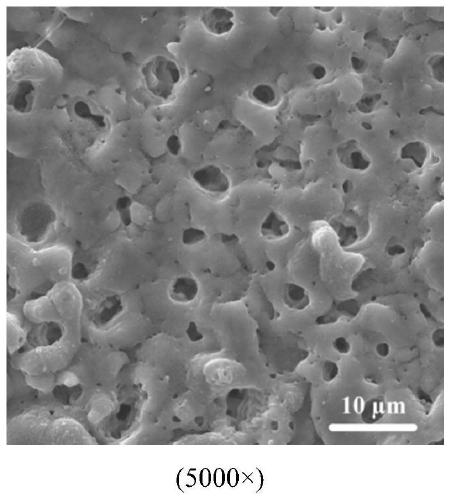 Active coating with self-healing function on magnesium-based surface and preparation method thereof