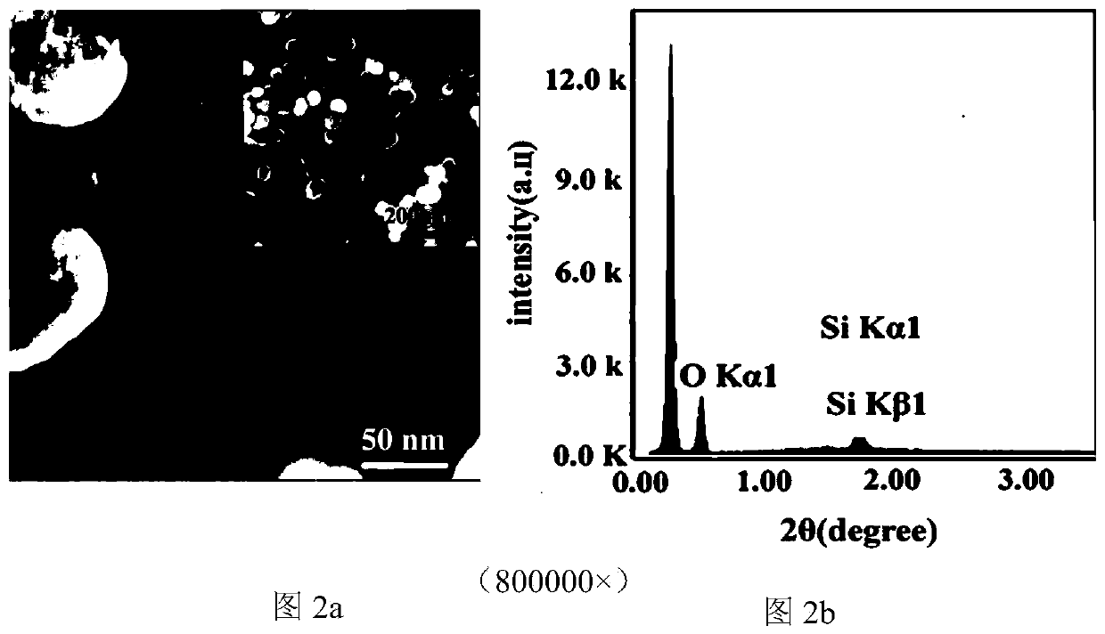 Active coating with self-healing function on magnesium-based surface and preparation method thereof