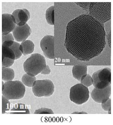 Active coating with self-healing function on magnesium-based surface and preparation method thereof