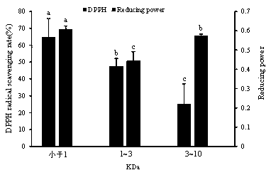 Preparation method of nano-liposome of goose blood anti-oxidation small-molecule enzymatic product