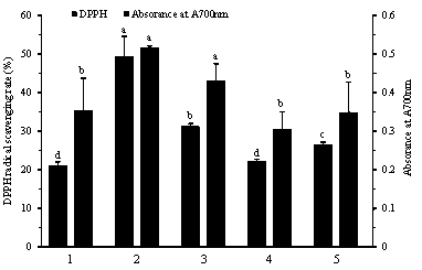 Preparation method of nano-liposome of goose blood anti-oxidation small-molecule enzymatic product