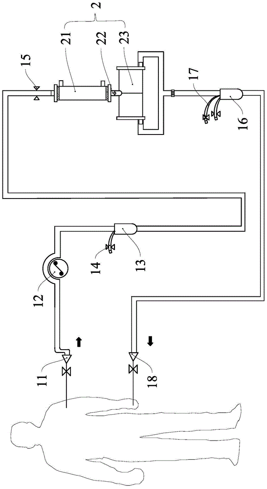 Blood purification device and system