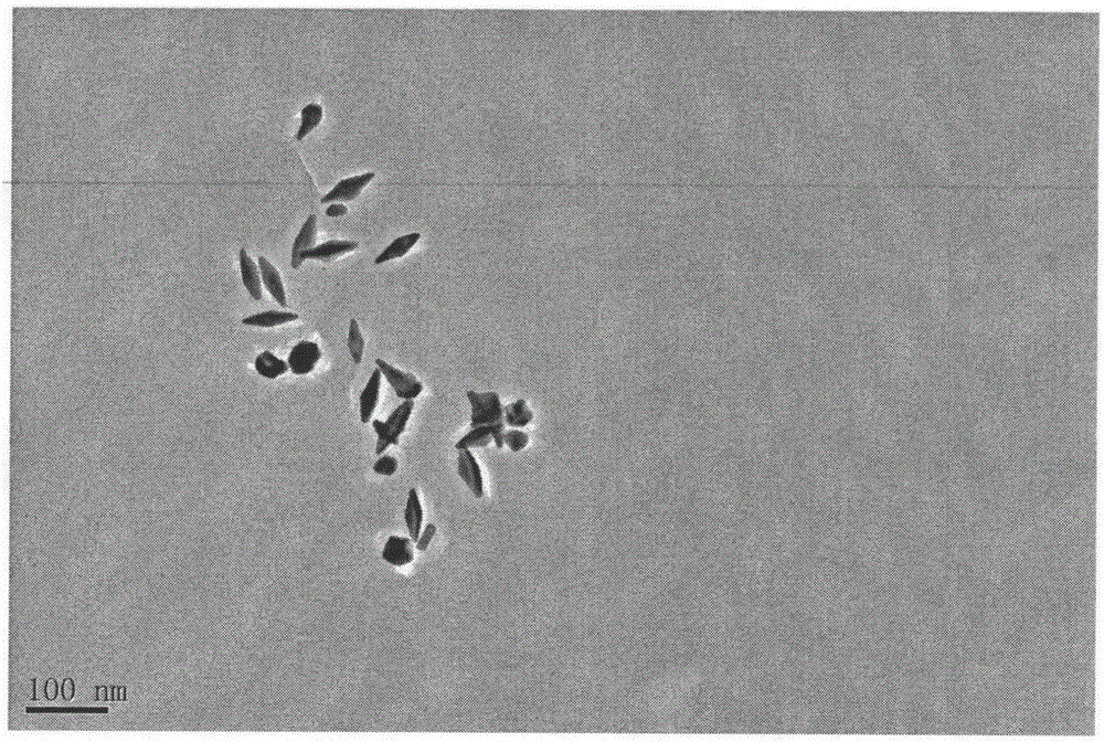 Preparation method for gold nanoparticle bipyramids