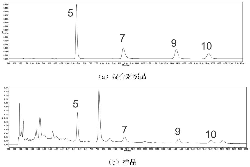 Quantitative fingerprint spectrum detection method for components of common goldenrop capsule