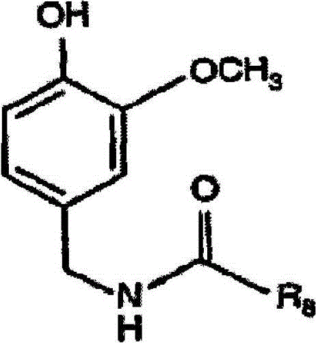 Warming agent clathrate compound applied to absorbent products and preparation method for warming agent clathrate compound